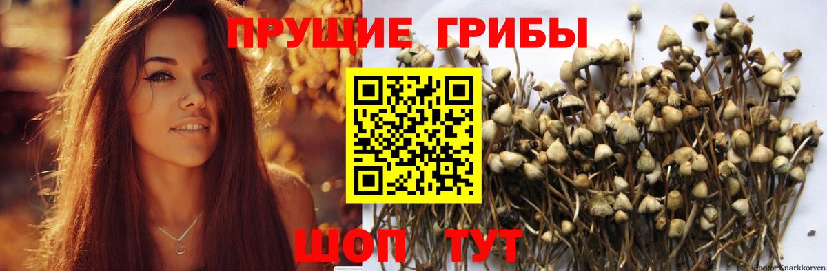 Биробиджан  Галлюциногенные грибы Psilocybe  Псилоцибиновые грибы Cubensis  Вход с VPN 