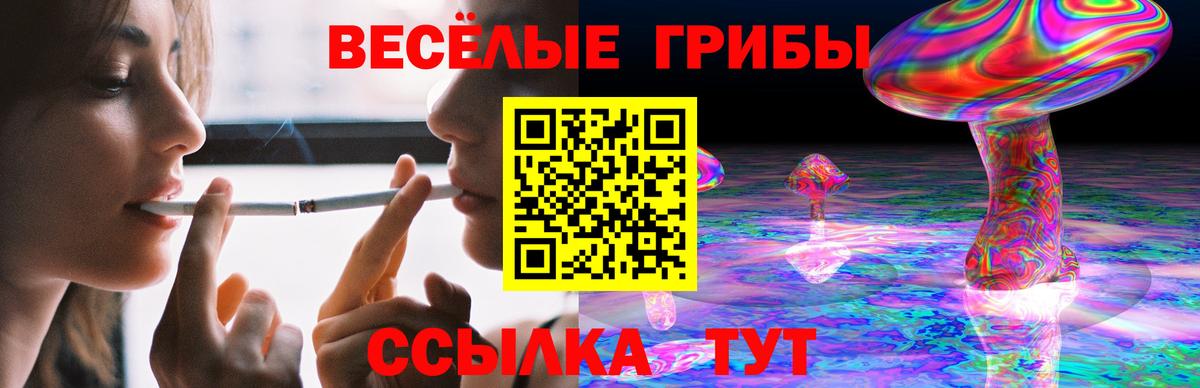 Псилоцибиновые грибы GOLDEN TEACHER Биробиджан